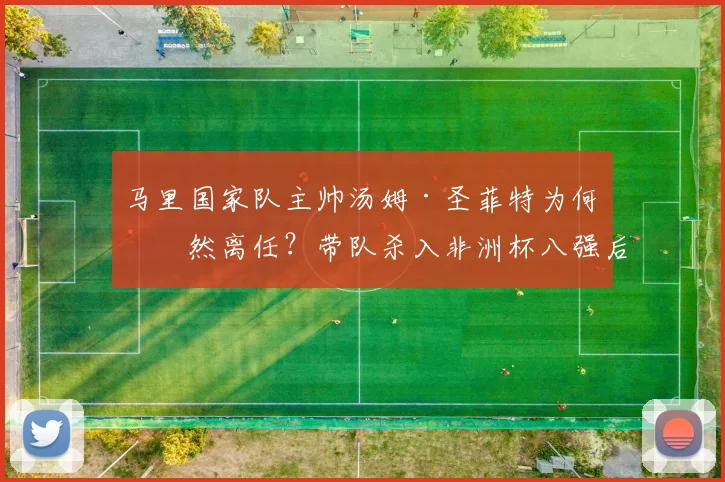 马里国家队主帅汤姆·圣菲特为何突然离任？带队杀入非洲杯八强后与足协产生何种分歧
