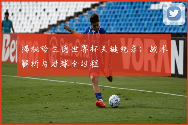 揭秘哈兰德世界杯关键绝杀:战术解析与进球全过程